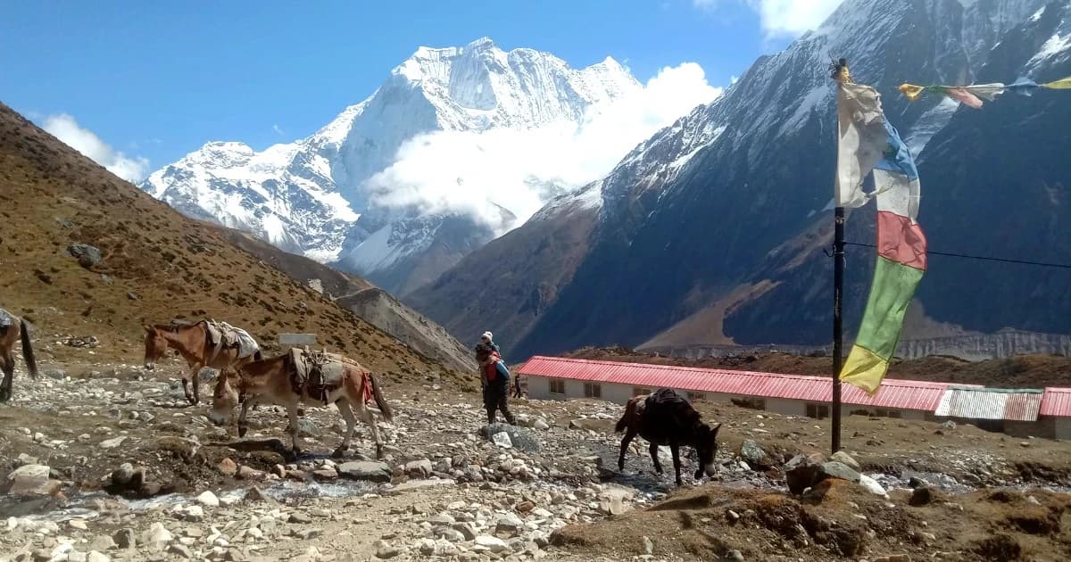 Manaslu Circuit Trek Facts