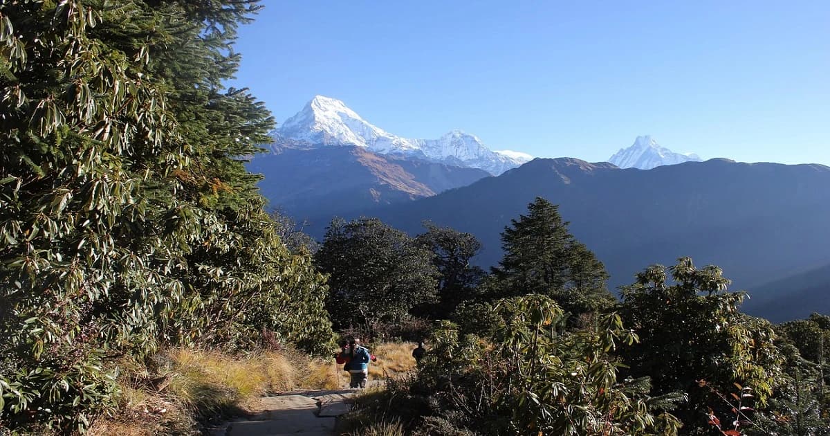 Reasons that make Ghorepani Poon Hill Trekking a Popular Adventure
