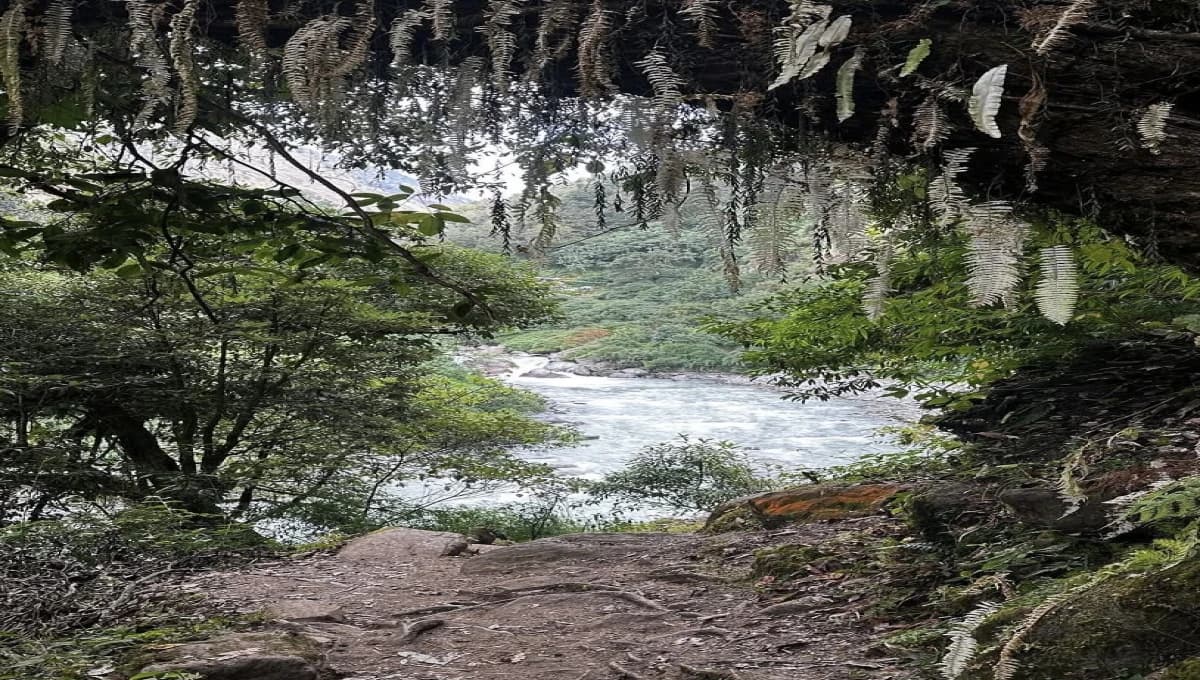 Langtang Valley Trek