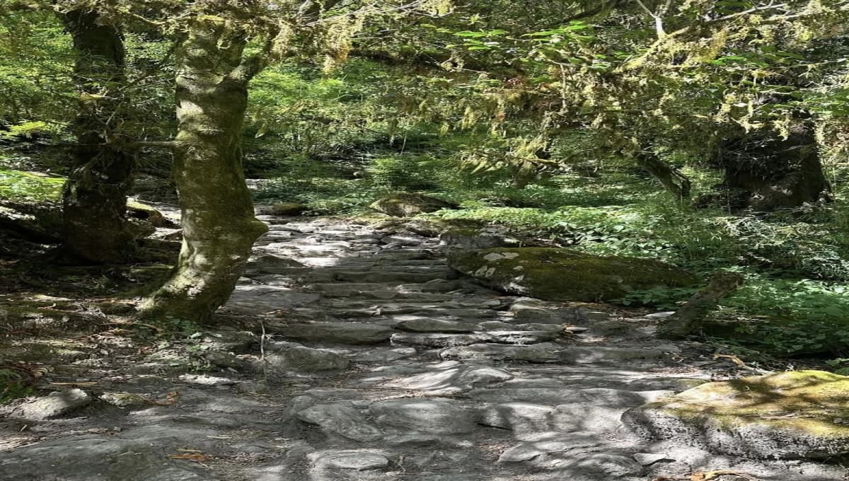 Langtang Valley Trek