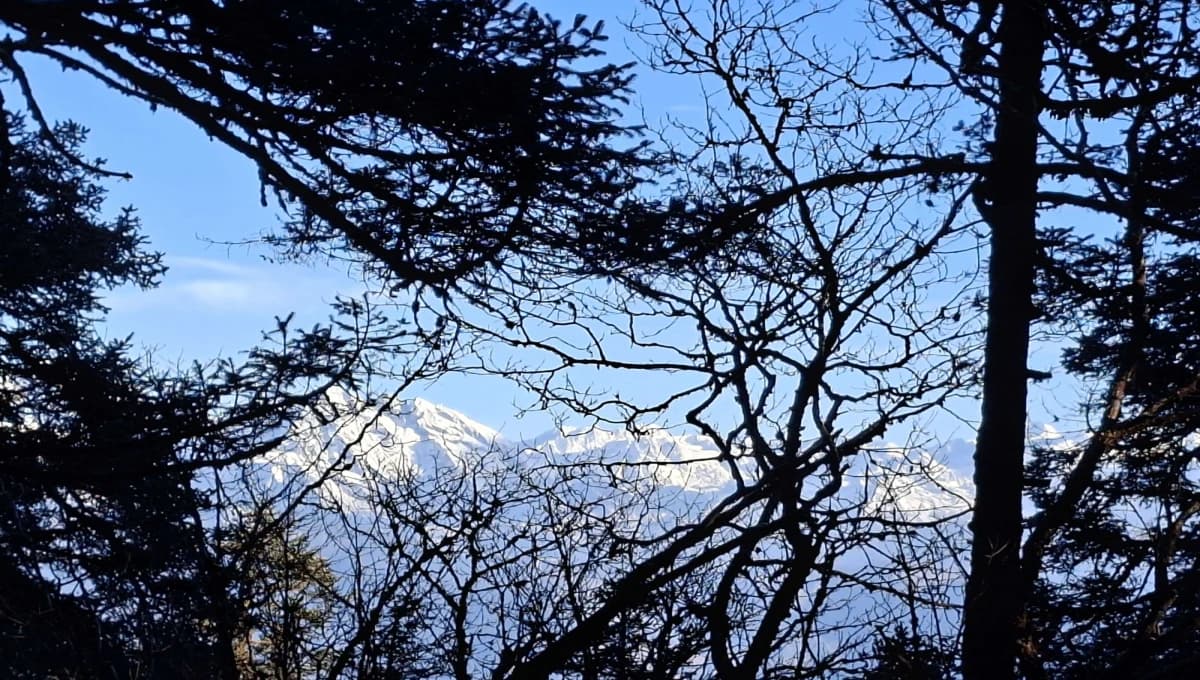 Langtang Valley Trek