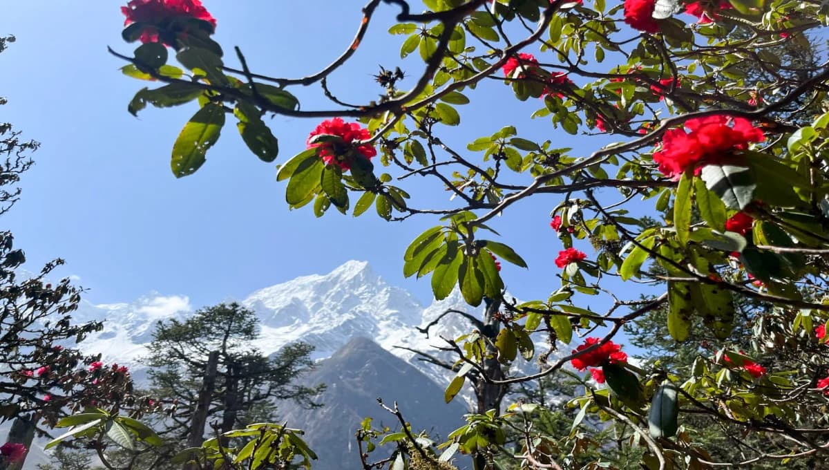 Manaslu Tsum Valley Trek
