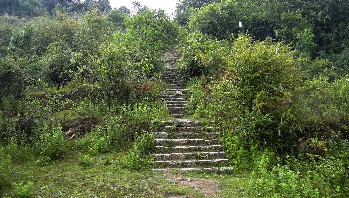 Shivapuri Hike
