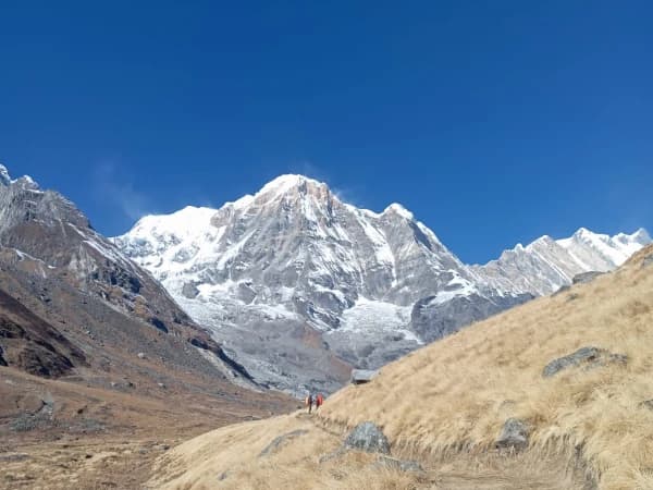 Mountain Magnificence