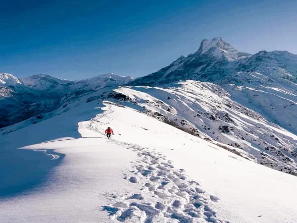 Mardi Himal Trek